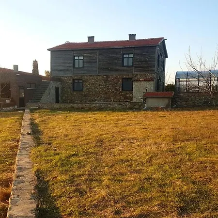 Dagbasi Butik